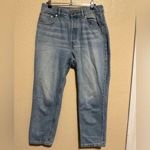 Everlane The Curvy 90s Cheeky Straight Jean Organic Cotton Size‎ 30 Crop